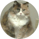 Karen Waters profile picture